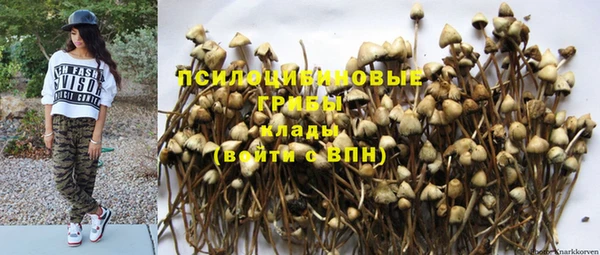 гашик Алзамай