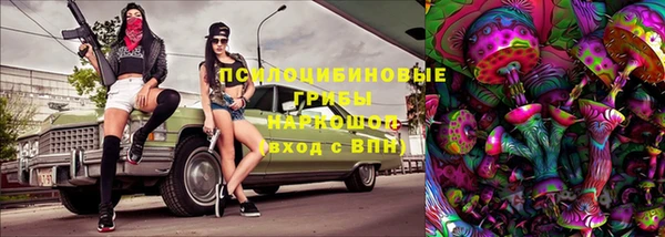 бошки Алексеевка