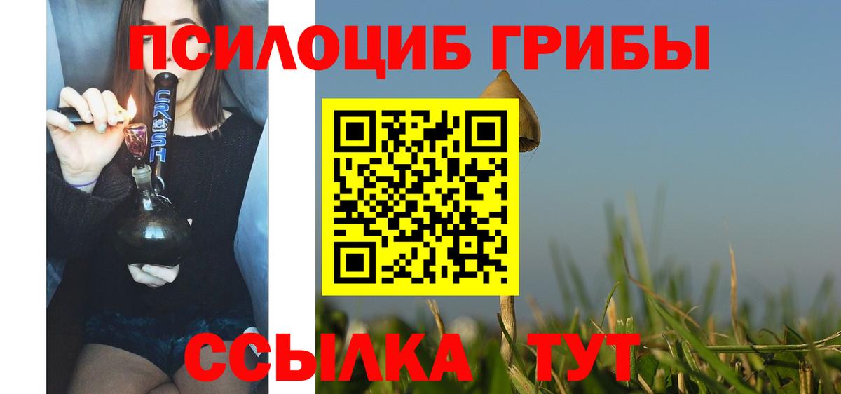 наркота  Вход с VPN  Новошахтинск  Галлюциногенные грибы Psilocybe 